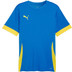 Puma GOAL Training Shirt