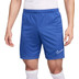 Nike Academy Shorts