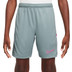 Nike Academy Shorts Kids