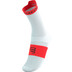 Compressport PRO Racing Socken 4.0 Run High