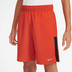 Nike Dri-Fit Challenger Training Short Kids
