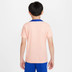 Nike Frankrijk Strike T-shirt Barn