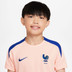 Nike Frankrijk Strike T-shirt Barn