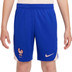 Nike France Strike Short Kids