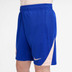 Nike France Strike Short Kids