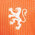 Nike Nederland Thuis Shirt OranjeLeeuwinnen Kids