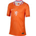 Nike Nederland Thuis Shirt OranjeLeeuwinnen Kids