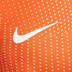 Nike Nederland Thuis Shirt OranjeLeeuwinnen Kids