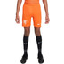 Nike Nederland Thuis Tenue Kids