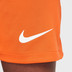 Nike Nederland Thuis Tenue Kids