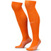 Nike Nederland Thuis Tenue Kids