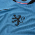 Nike Nederland Match Uit Shirt Leeuwinnen Dames
