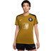 Nike Nederland Strike Top OranjeLeeuwinnen Dames