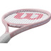 Wilson Intrigue