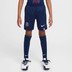 Nike Paris Saint-Germain Thuis Tenue Kids