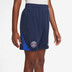 Nike Paris Saint-Germain Strike Short Kids