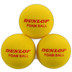 Dunlop Indoor Skumboll 12 St.