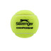 Slazenger Championship 4 St.