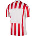 Nike Atletico Madrid Thuis Shirt 2025/2026