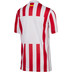 Nike Atletico Madrid Thuis Tenue Kids 2025/2026