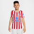 Nike Atletico Madrid Thuis Tenue Kids 2025/2026
