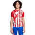 Nike Atletico Madrid Pre-Match Top Kids
