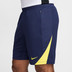 Nike Atletico Madrid Trainingsset
