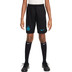 Nike Inter Milan Thuis Tenue Kids