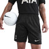 Nike Tottenham Hotspur Bortaställ
