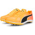 PUMA evoSPEED Crossfox 4