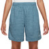 Nike Gradient Shorts Pojkar