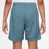 Nike Gradient Shorts Pojkar