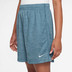 Nike Gradient Shorts Pojkar