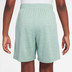 Nike Gradient Short Jongens