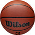 Wilson NBA Authentic Indoor Outdoor