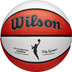 Wilson WNBA Authentic Indoor Outdoor