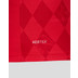 Castore FC Twente Thuis Shirt 2025/2026