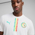 Puma Senegal Home Shirt 2025/2026