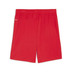 Puma GOAL Training Short