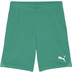 Puma GOAL Training Short