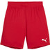 Puma GOAL Training Shorts Barn