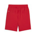 Puma GOAL Training Shorts Barn