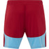 Castore Feyenoord 3rd Short Damen 2025/2026 2