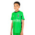 Puma Borussia Mönchengladbach Uit Shirt Kids