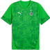 Puma Borussia Mönchengladbach Trainingsset