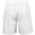 JDH Carbon Pro Shorts Herr