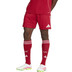 adidas Liverpool Thuis Tenue 2025/2026