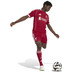 adidas Liverpool Thuis Tenue 2025/2026