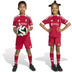 adidas Liverpool Thuis Tenue Little Kids 2025/2026