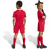 adidas Liverpool Thuis Tenue Little Kids 2025/2026